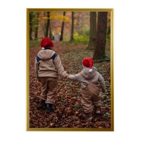 Ramme - Goldbuch Fine - Blank Guld - 15x20 Cm.