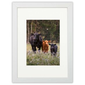 Ramme - Passepartout - Victoria Wood Glat - 13x11 mm - Hvid - 18x24/13x18 Cm.