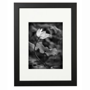 Ramme - Passepartout - Victoria Wood Glat - 13x11 mm - Sort - 24x30/18x24 Cm.