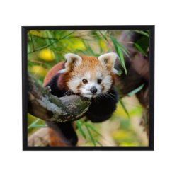 Ramme Alu Mat Sort 10x10 cm.