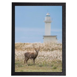 Ramme - Victoria Wood Rustic Sort - 10x10 mm - 20x30 Cm.