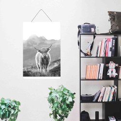 Plakatophng Tr Hvid 51 cm