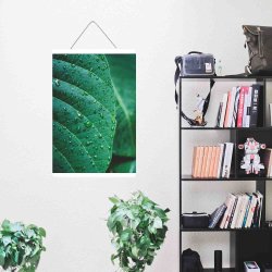 Plakatophng Tr Hvid 61 cm