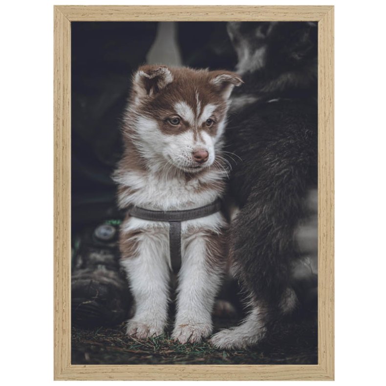 Ramme Willow - Eg - 15x21 Cm.