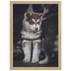 Ramme Willow - Eg - 20x25 Cm.