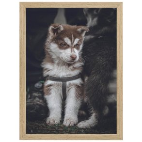 Ramme Willow - Eg - 20x30 Cm.