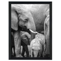 Kvadratisk foto ramme i malet fyrretr, som passer til dine bedste billeder