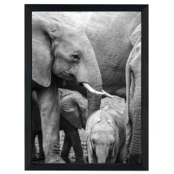 Ramme Willow - Sort - A4 ( 21x29,7 Cm. )