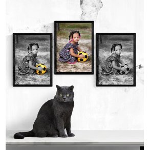 Special Billede Og Plakat Print