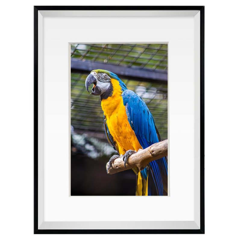 Ramme - Sort Aster Box - 20x30/13x18 Cm.