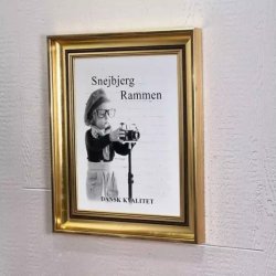 Snejbjerg Nr. 476 50x60 Cm. Guld Ramme "Usynlig Glas"