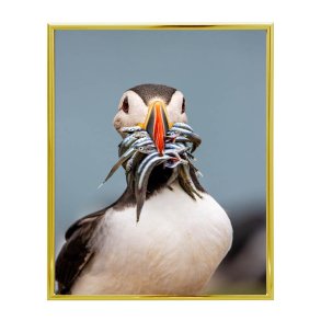 Ramme Lily - Alu Blank - Guld - 13x18 Cm.