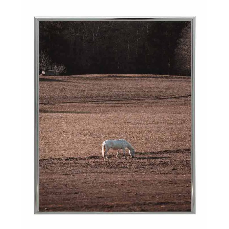 Ramme Lily - Alu Blank - Slv - 10x15 Cm.