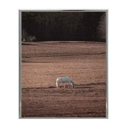 Ramme Lily - Alu Blank - S�lv - 21x30 Cm.