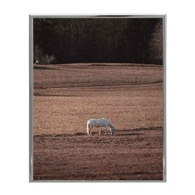 Ramme Lily - Alu Blank - Slv - 9x12 Cm.
