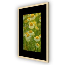 Ramme - Victoria Wood Rustic - Lys Eg - 12x18 mm - 20x30 Cm.