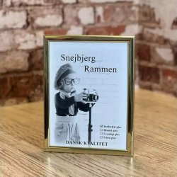 Snejbjerg Nr. 501 50x60 Cm. Guld Ramme Refleksfrit Glas